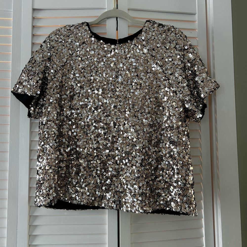 Banana Republic Silver Sequin Blouse